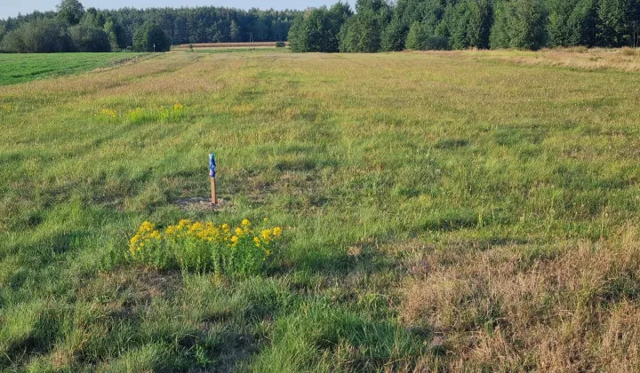 Działka budowlana Januszówka
