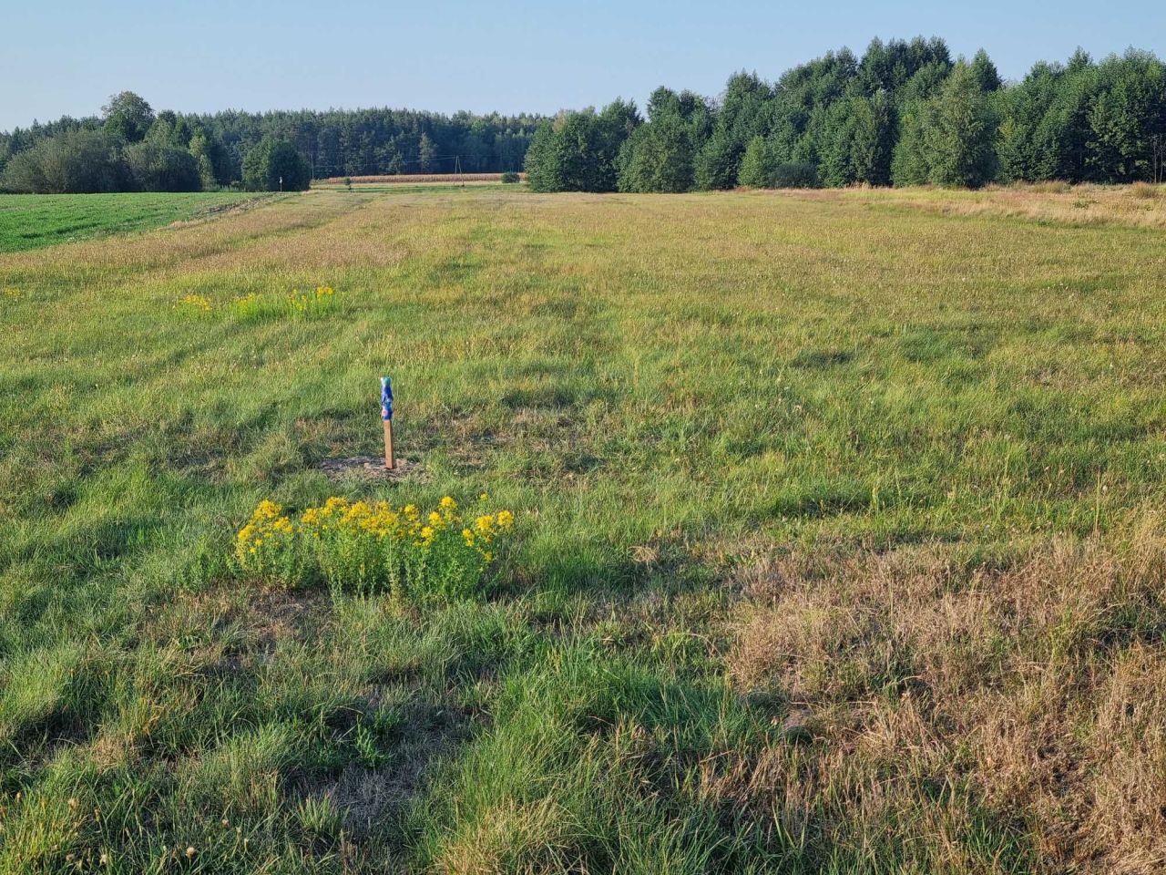 Działka budowlana Januszówka. Zdjęcie 1