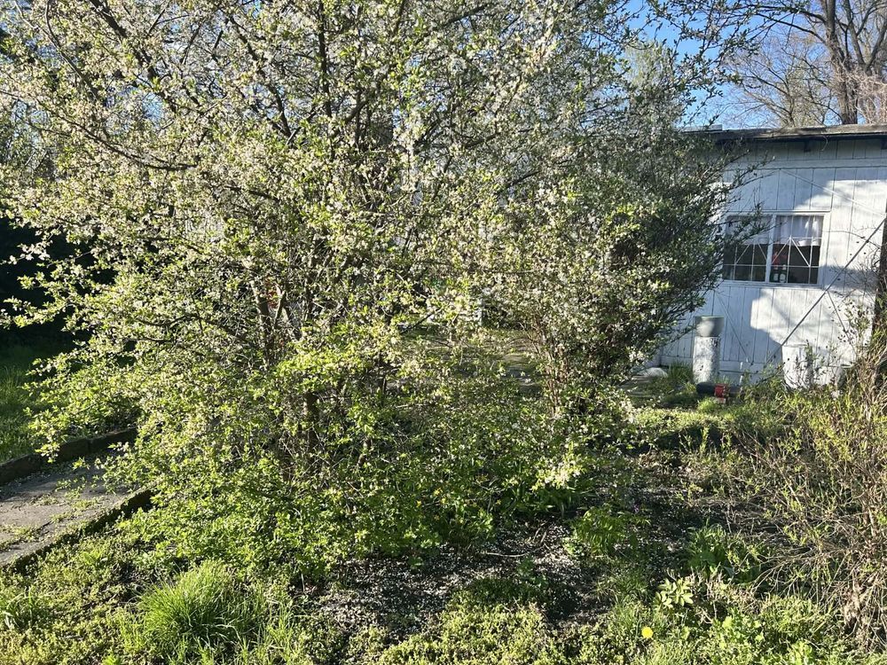 Działka rod Częstochowa Zawodzie. Zdjęcie 2