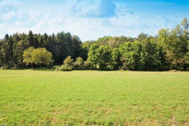 Działka inwestycyjna Brudzewo. Zdjęcie 1