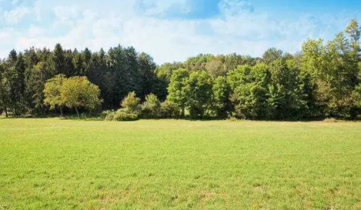 Działka inwestycyjna Brudzewo