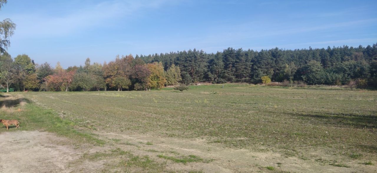 Działka budowlana Czernikowice. Zdjęcie 4