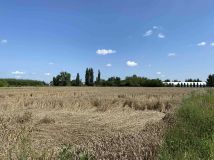 Działka budowlana Hrubieszów, ul. Michałówka. Zdjęcie 3