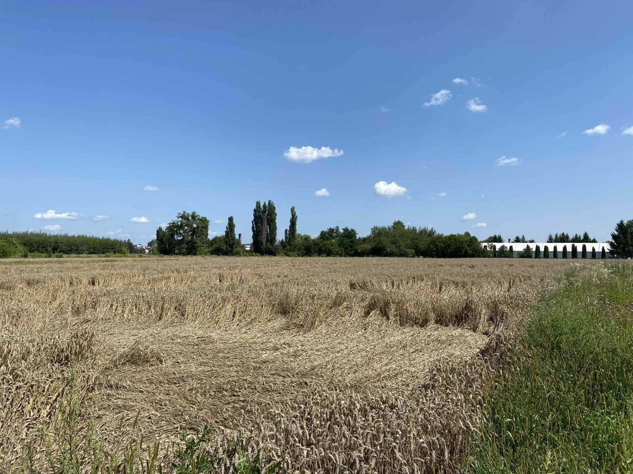 Działka budowlana Hrubieszów, ul. Michałówka. Zdjęcie 4