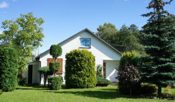 Działka siedliskowa Bolino