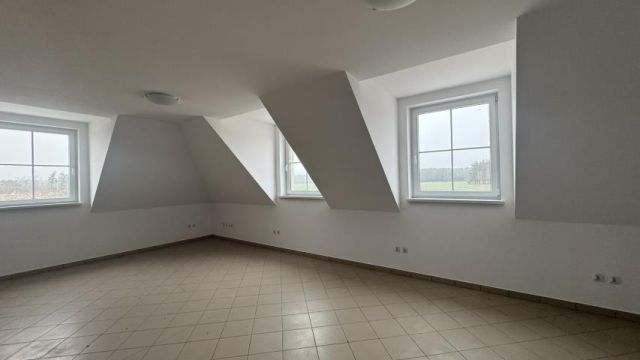 dom wolnostojący, 12 pokoi Brzeźnik. Zdjęcie 12