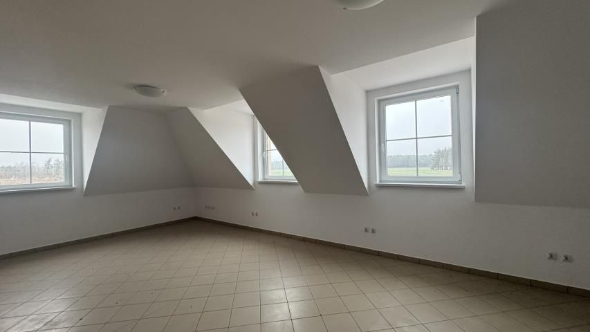 dom wolnostojący, 12 pokoi Brzeźnik. Zdjęcie 12