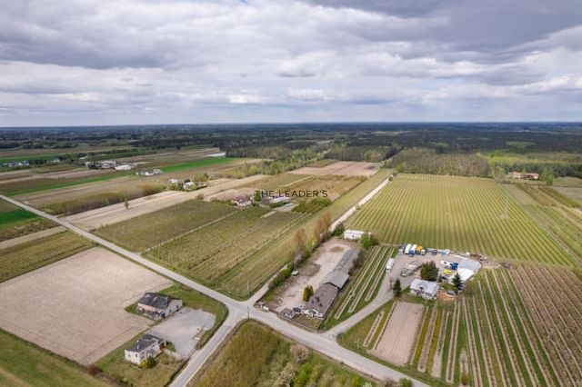 Działka inwestycyjna Suchodół. Zdjęcie 3