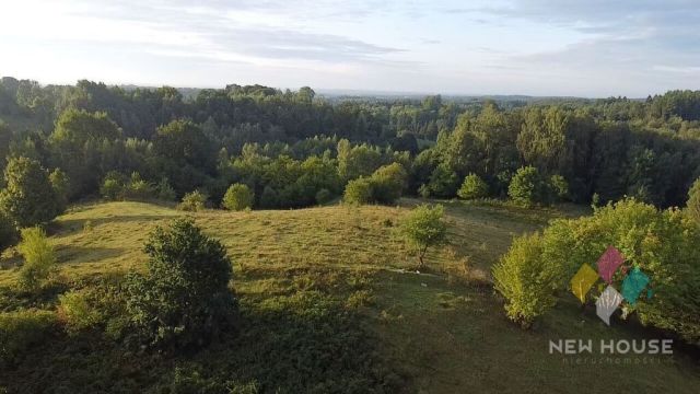 dom wolnostojący, 5 pokoi Wysoka Wieś. Zdjęcie 17