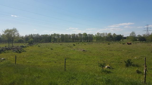 Działka rolna Bełchatów. Zdjęcie 1