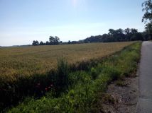 Działka inwestycyjna Trzebina. Zdjęcie 3