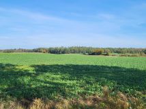 Działka rolna Glebiska. Zdjęcie 2