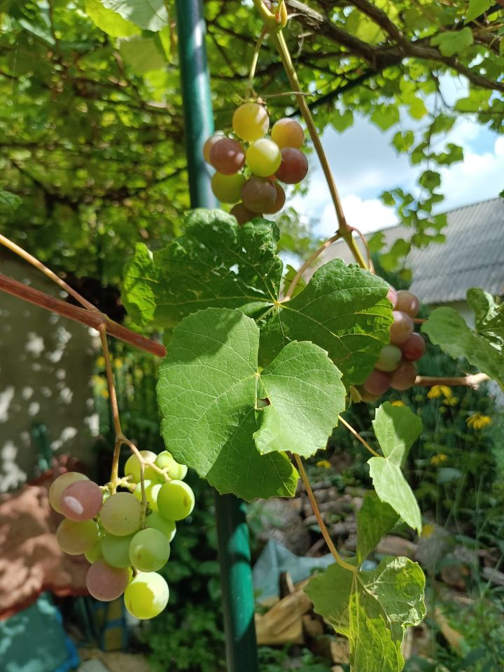 dom wolnostojący, 1 pokój Duchnów, ul. Nizinna. Zdjęcie 8