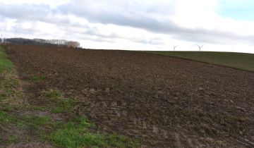 Działka rolna Bielice