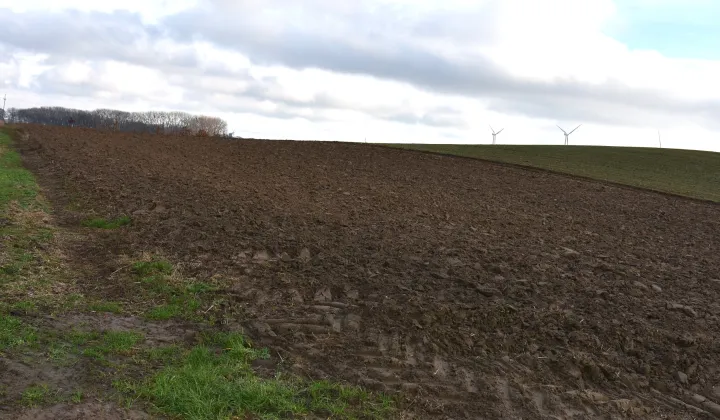 Działka rolna Bielice