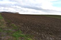 Działka rolna Bielice