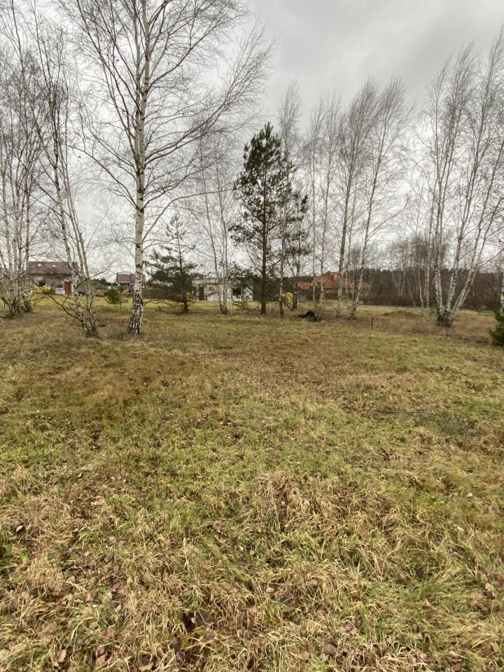 Działka budowlana Grodowiec. Zdjęcie 6