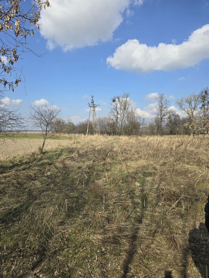 Działka rolno-budowlana Roszkowice. Zdjęcie 2