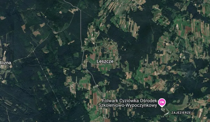 Działka leśna Leszcze, Brak