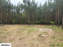 Działka rekreacyjna Adamowo. Zdjęcie 2