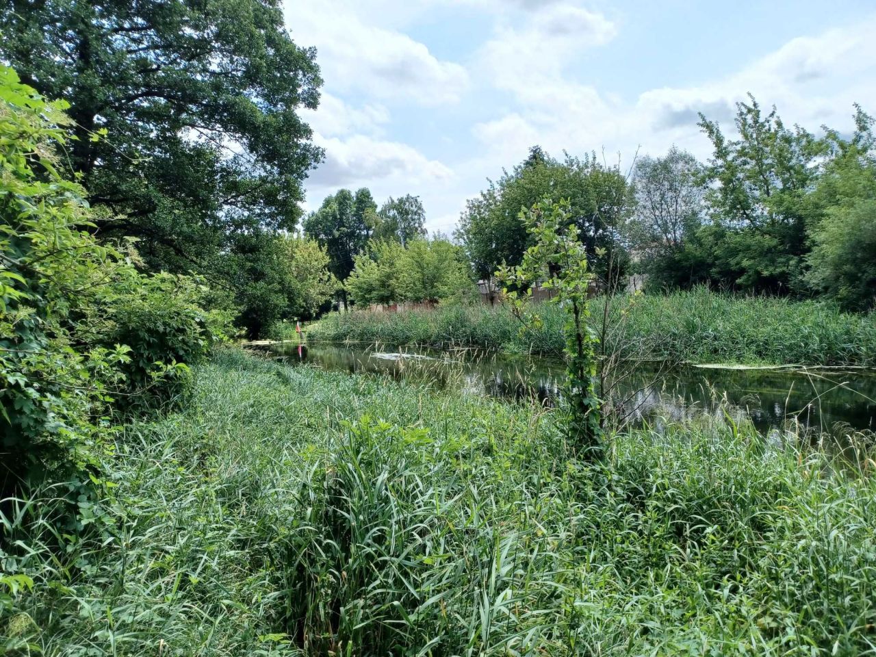 Działka budowlana Prostki Bogusze. Zdjęcie 7