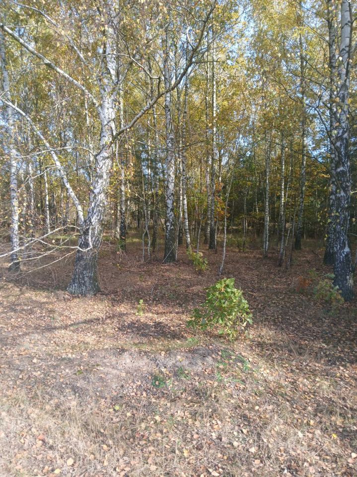 Działka budowlana Powązki. Zdjęcie 6