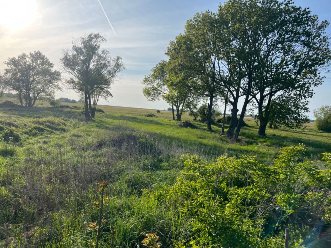 Działka budowlana Gąsierzyno. Zdjęcie 2
