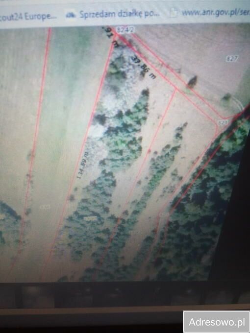 Działka rekreacyjna Kuźmina. Zdjęcie 8