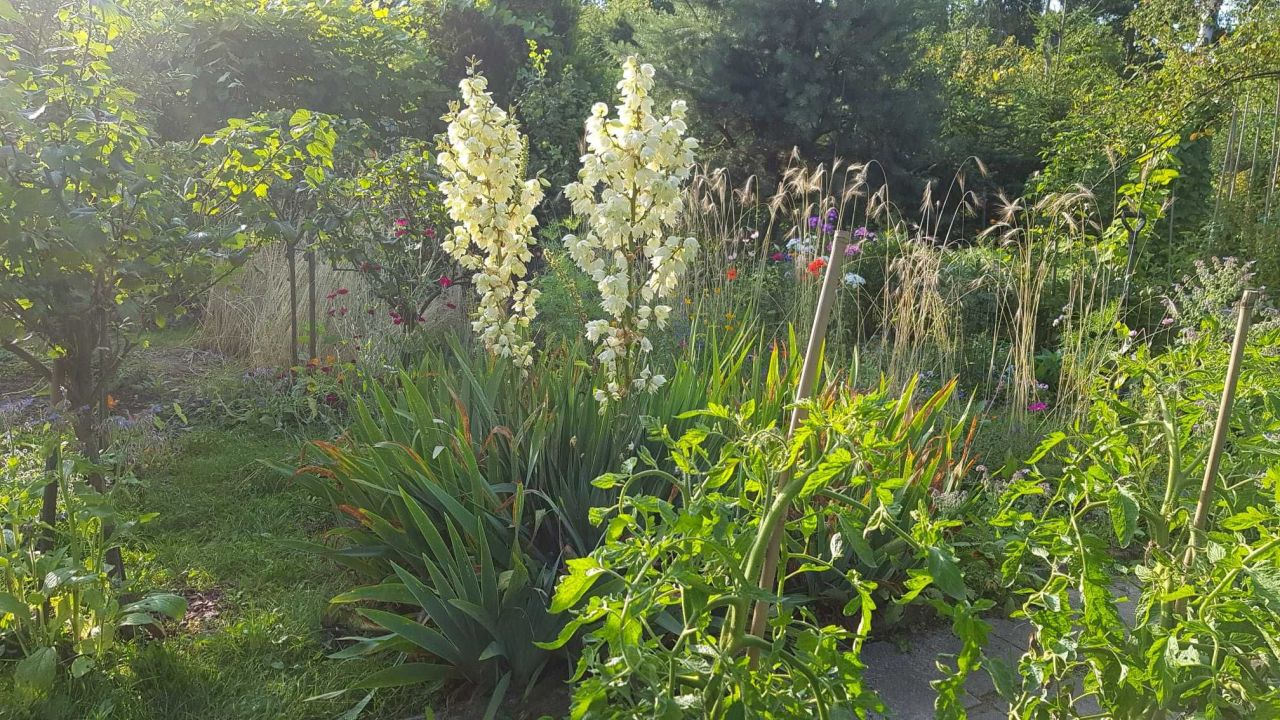 Działka rod Warszawa Ochota, ul. Racławicka. Zdjęcie 7