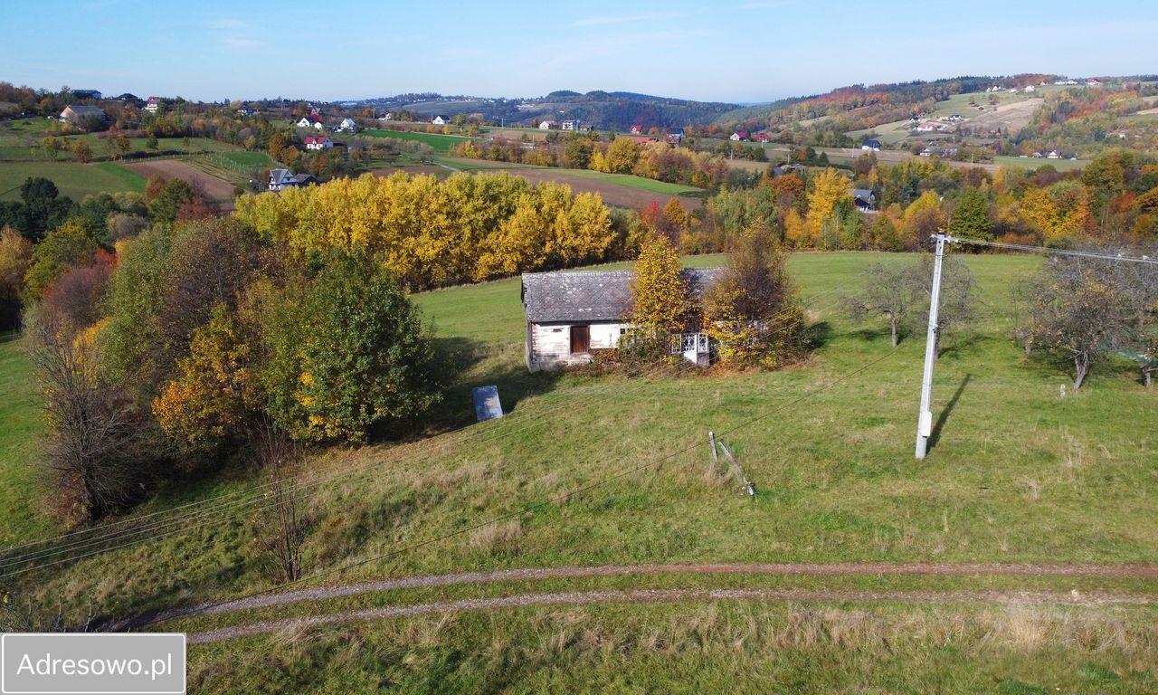 Działka budowlana Sadek. Zdjęcie 9