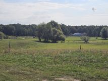 Działka rolna Zajęczniki. Zdjęcie 4