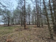 Działka rolna Widełka. Zdjęcie 4