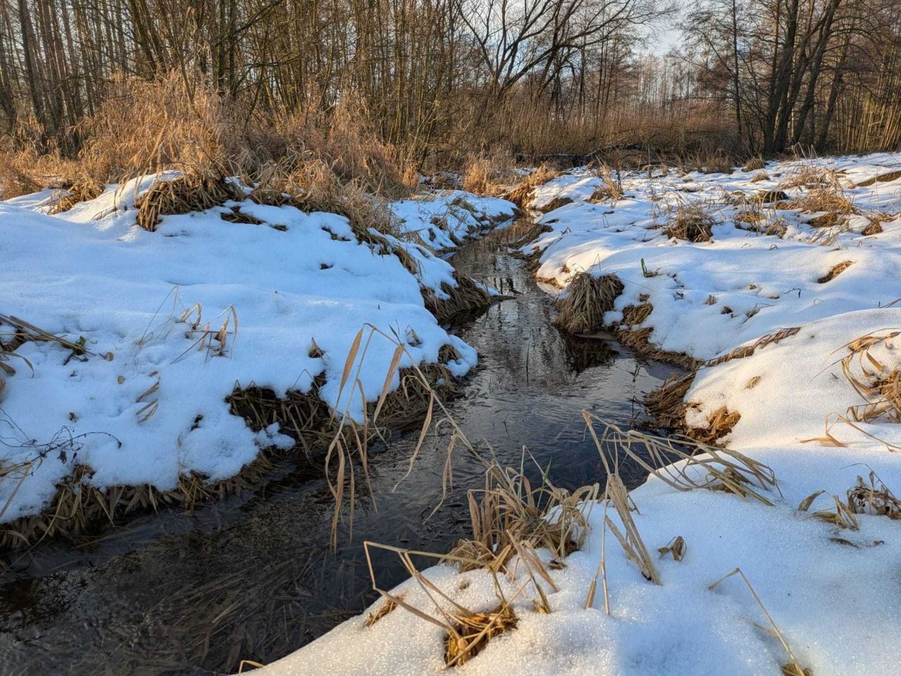 Działka rolno-budowlana Ostrówka. Zdjęcie 6