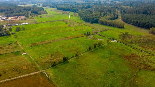 Działka rolna Kołodno. Zdjęcie 11