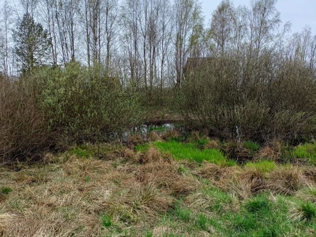 Działka budowlana Zajezierze. Zdjęcie 1