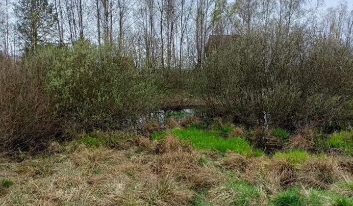 Działka budowlana Zajezierze