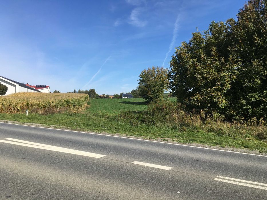Działka inwestycyjna Sokołowice. Zdjęcie 4