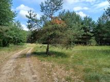 Działka budowlana Prostki Bogusze. Zdjęcie 3