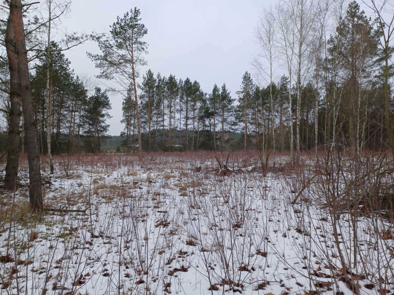 Działka rolna Małe Rudy, ul. Jeziorowa. Zdjęcie 11