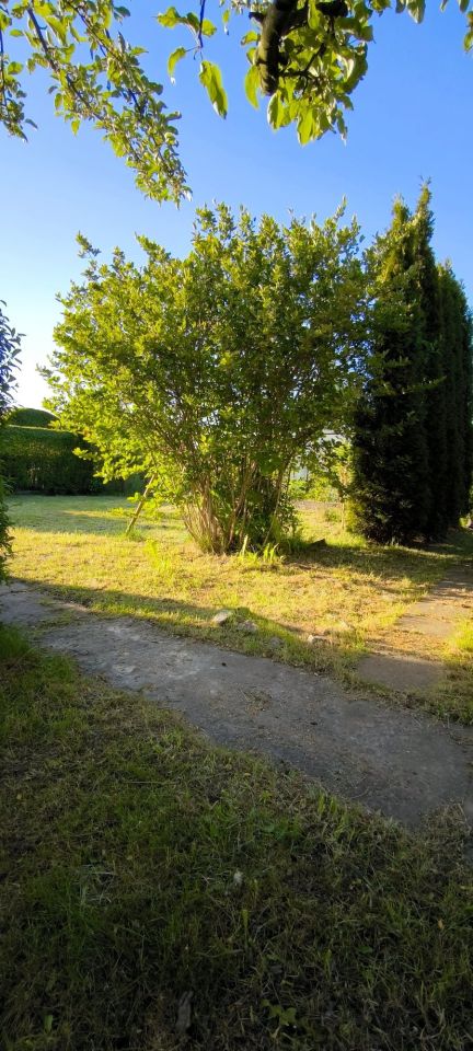 Działka rod Wałbrzych Podzamcze. Zdjęcie 2