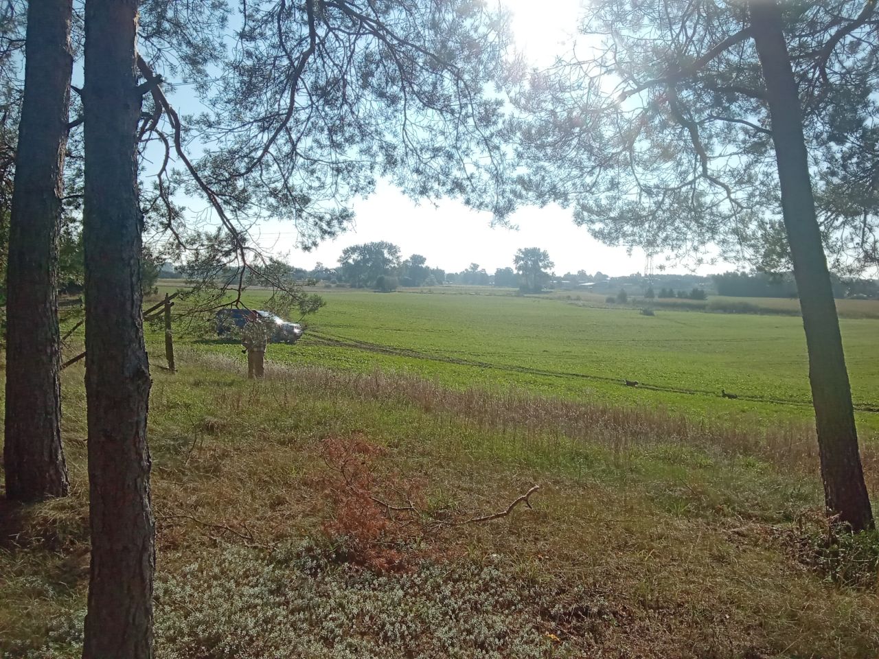 Działka rolna Parsów. Zdjęcie 6