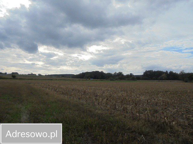 Działka inwestycyjna Kopaszyn. Zdjęcie 7