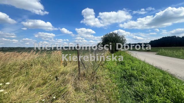 Działka budowlana Studzianki. Zdjęcie 1