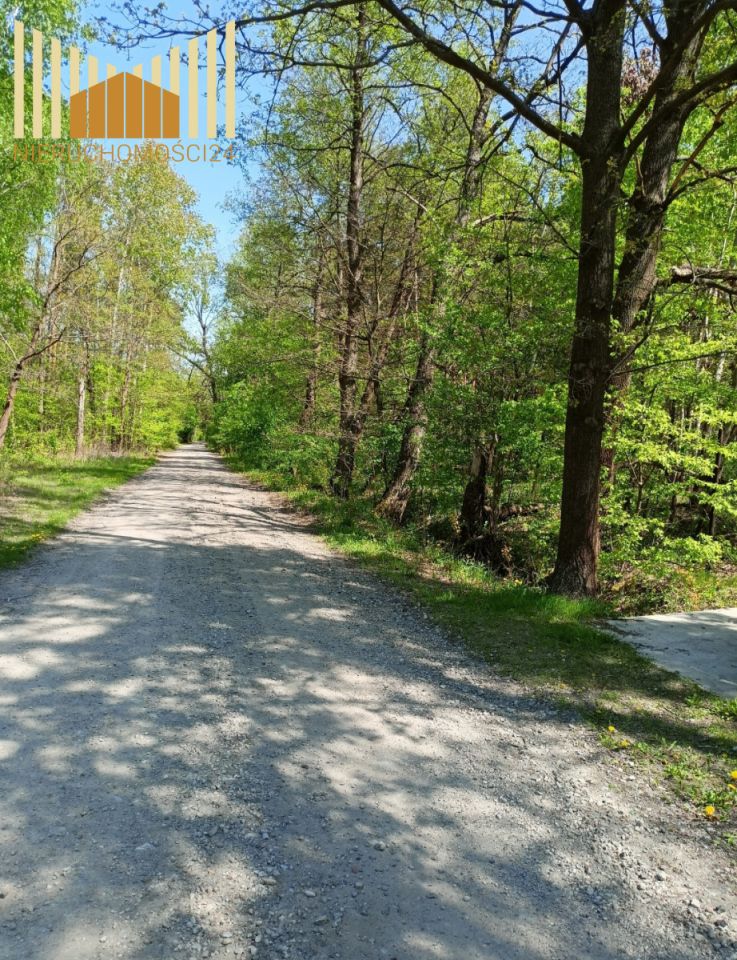 Działka budowlana Ostrów. Zdjęcie 4