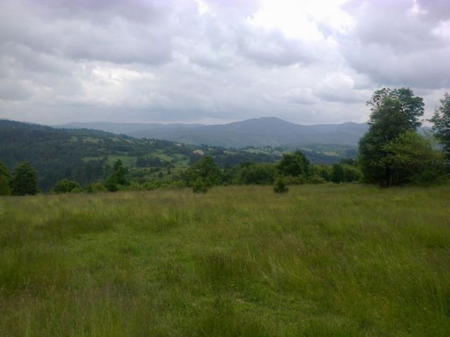 Działka inwestycyjna Nieledwia. Zdjęcie 1