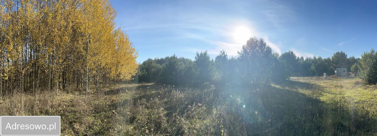 Działka budowlana Owczegłowy. Zdjęcie 14