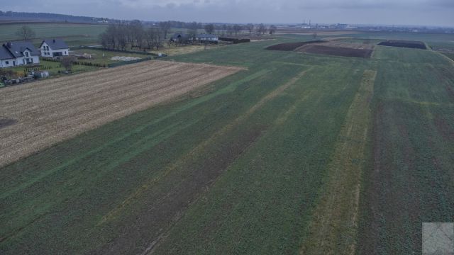 Działka budowlana Morawsko. Zdjęcie 2