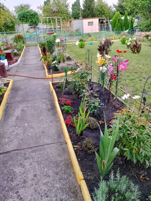 Działka rekreacyjna Ostrów Wielkopolski Zębców, ul. Wrocławska. Zdjęcie 9