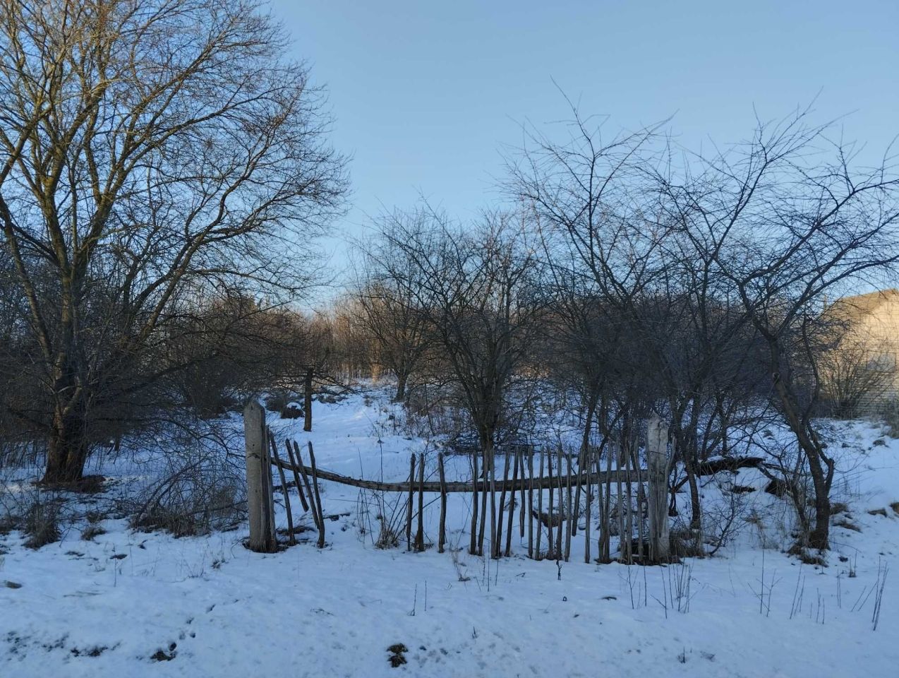 Działka rolno-budowlana Młodzawy Duże. Zdjęcie 6