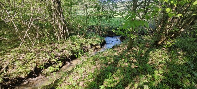 Działka rolna Tyrawa Solna. Zdjęcie 1